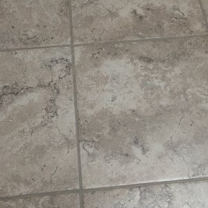 Meet your Posher, Tony